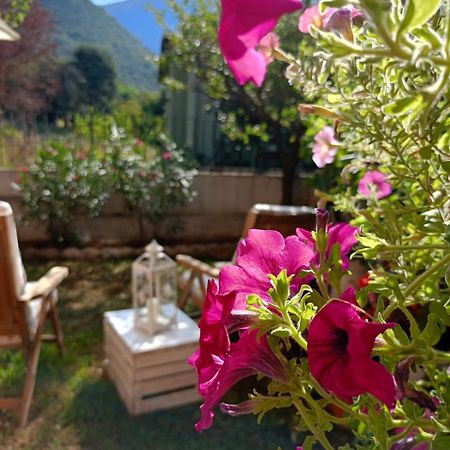 La Civetta Appartamento Con Giardino E Parcheggio Nave  Экстерьер фото